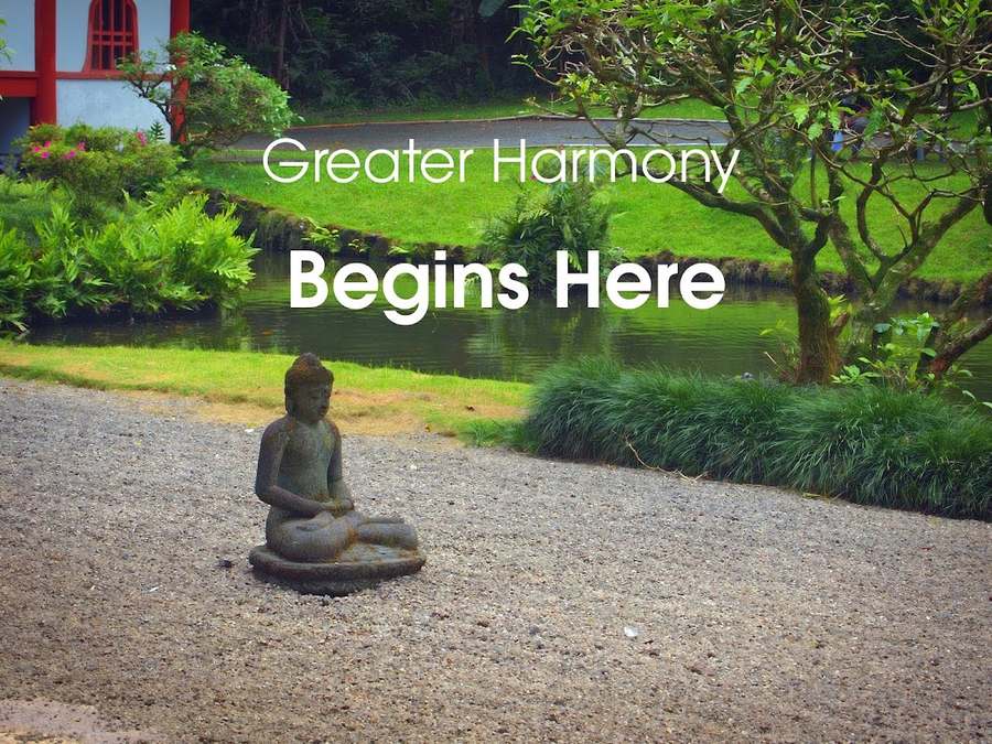 Dr. Janet Wells, DACM, L.Ac., Greater Harmony Acupuncture — photo 1