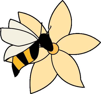 Bee Balanced Nutrition — Diet & Nutrition in W Institute Pl #500, Chicago
