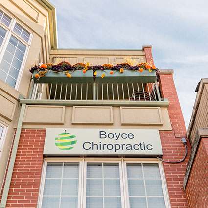 Boyce Chiropractic — Chiropractic in Calendar Ave, Chicago
