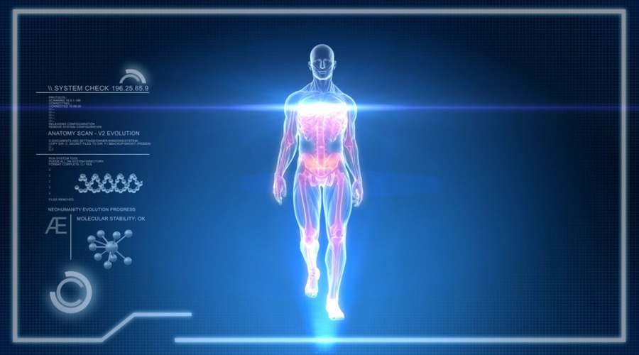 NewLife Holistic, Inc — Naturopathic Medicine in W Higgins Rd Ste LL001, Chicago