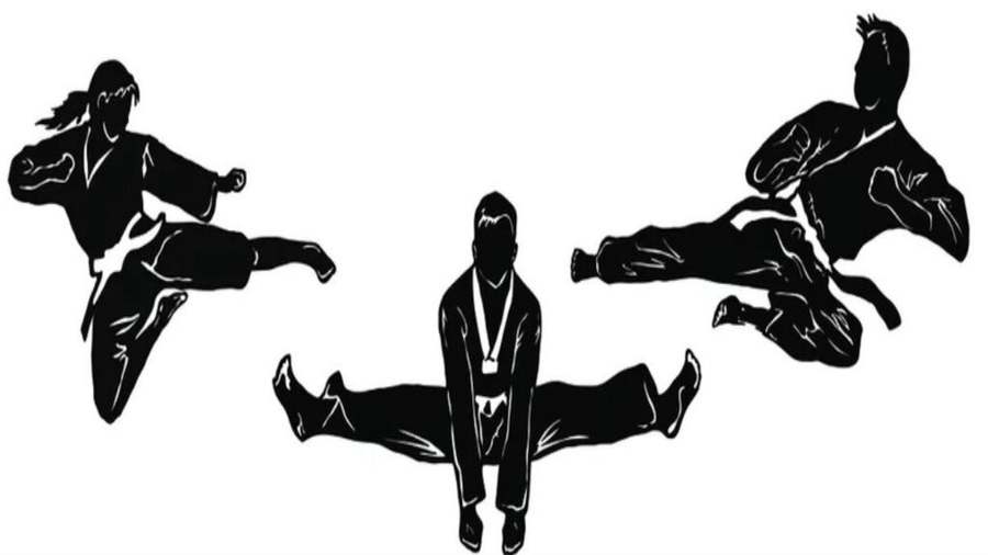 T-USA Martial Arts — Yoga, Tai Chi & Pilates in S Harlem Ave, Chicago