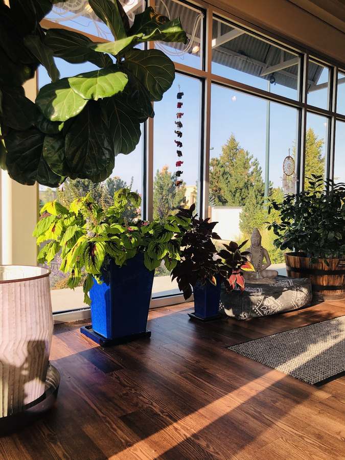 ROOT TO RISE YOGA — Yoga, Tai Chi & Pilates in Ulster Ct #101, Denver