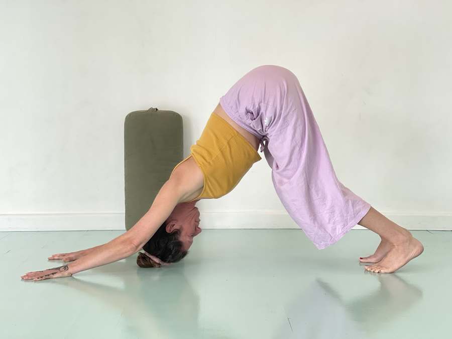Light and Space Yoga — Yoga, Tai Chi & Pilates in Sunset Blvd O, Los Angeles