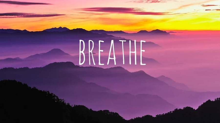 Nicole Abadi LMFT — Psychotherapy in Pacific Coast Hwy #205, Los Angeles
