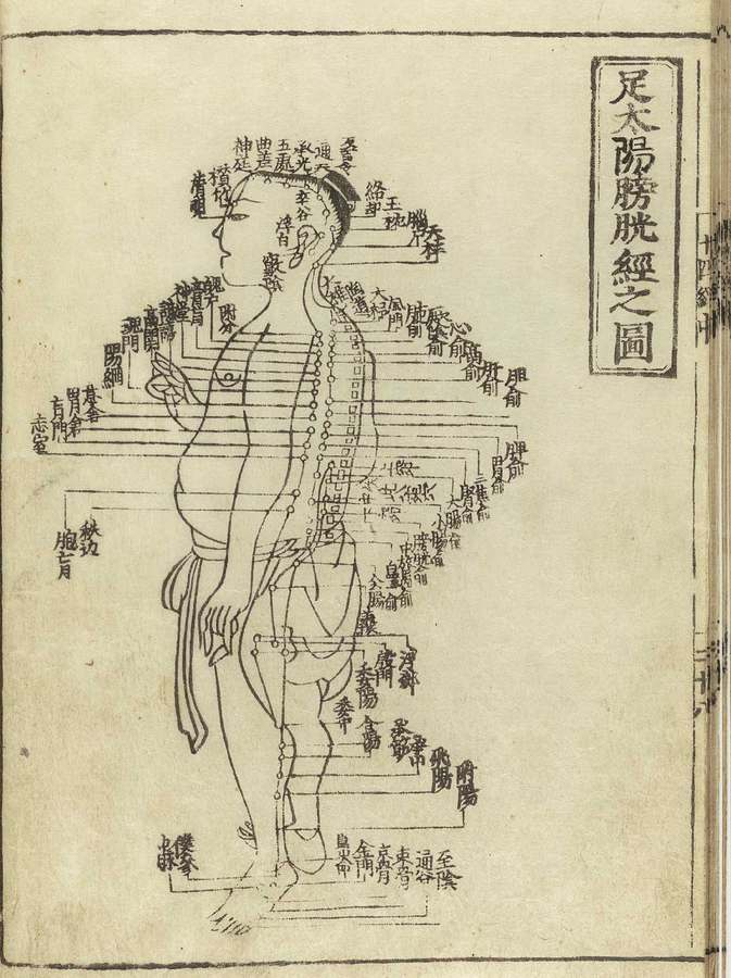 Tina Labok Wellness — Acupuncture in E Village Rd, Los Angeles