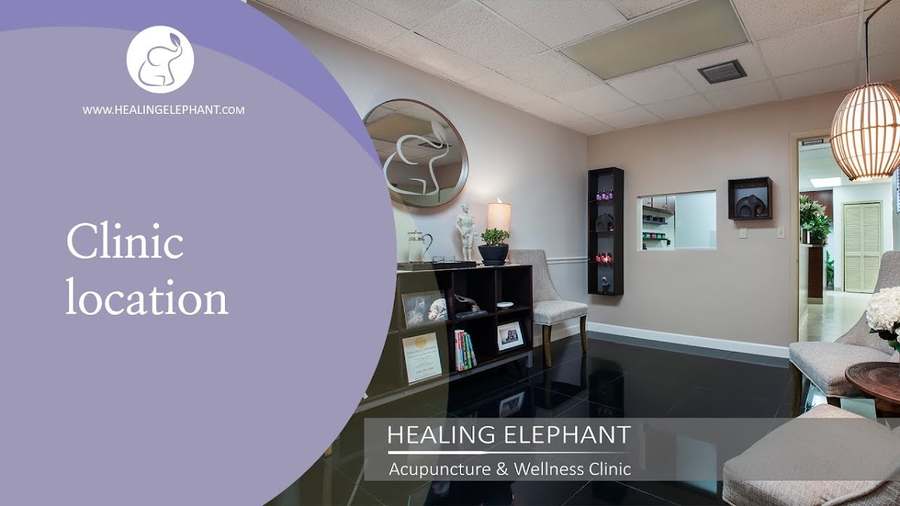 Healing Elephant — Acupuncture in NE 2nd Ave #103, Miami
