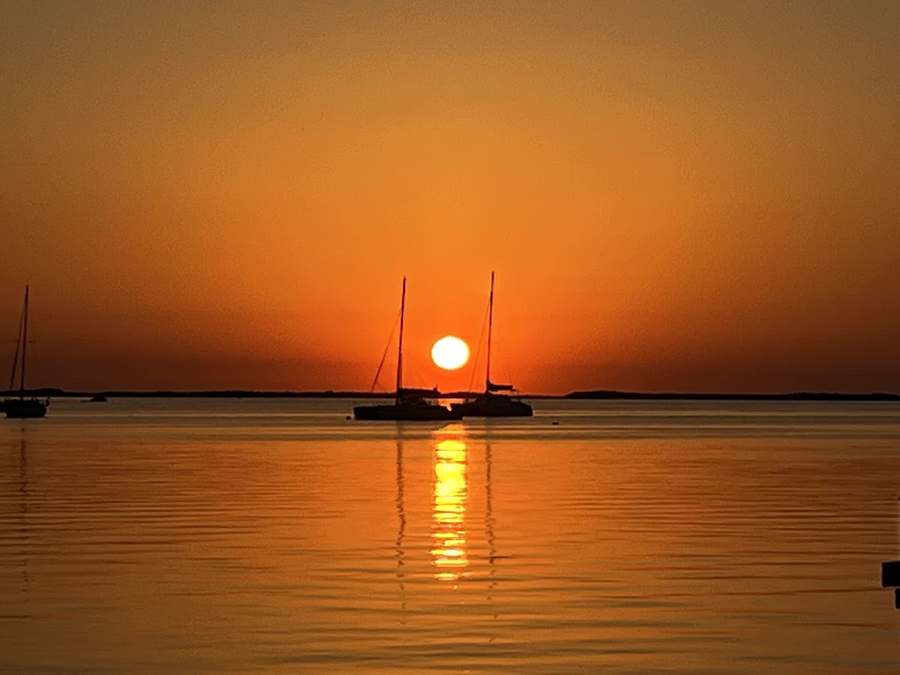 Mind Wellness Services — Psychotherapy in Bluebird Ave, Miami