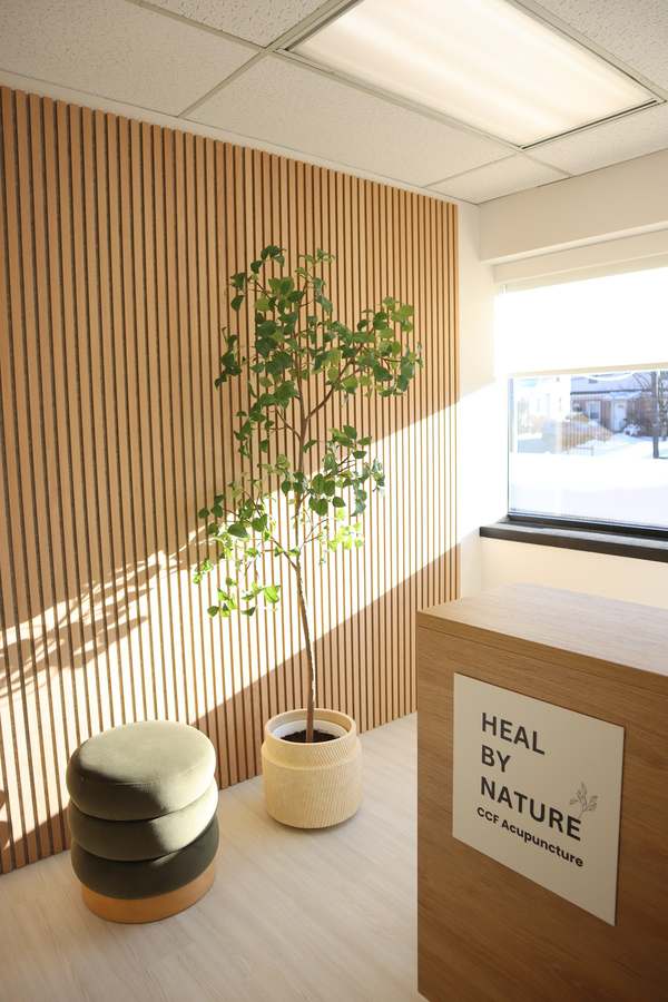 Heal by Nature Acupuncture — Acupuncture in E Spring Valley Ave #260, New York