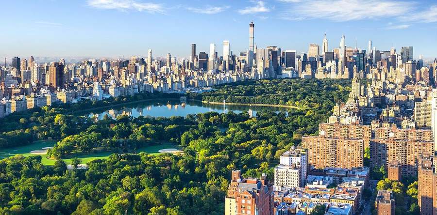 Wellness Road Psychology — Psychotherapy in E 42nd St Suite 40-12, New York