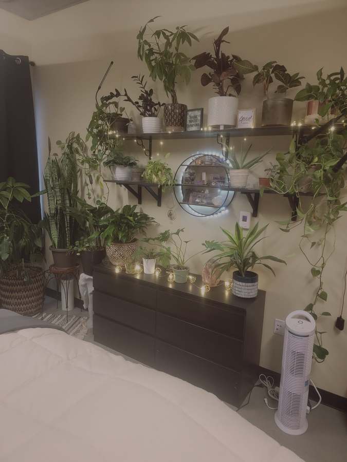 Calmed Soul Holistic Spa — Massage Therapy in Airport Wy S, Seattle