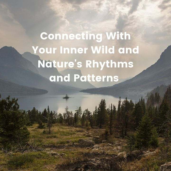 Naturefy — Counsellors & Mentors in NE 130th St, Seattle