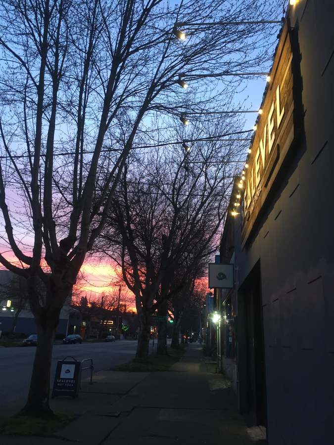 Sealevel Hot Yoga — Yoga, Tai Chi & Pilates in N 36th St, Seattle