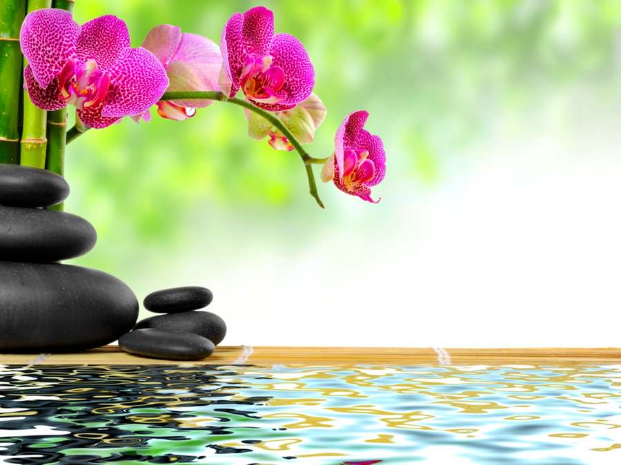 Sunrise Massage — Massage Therapy in Roosevelt Way NE Ste c, Seattle