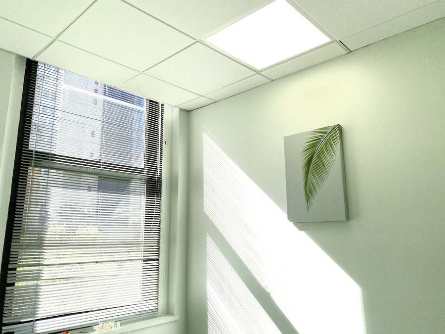 Apex Health Acupuncture and Chiropractic-Downtown — photo 1