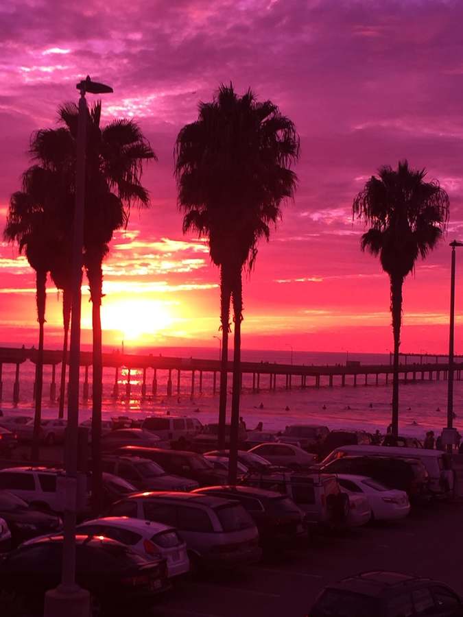San Diego Naturopathic - Dr. Peter Wannigman — photo 1