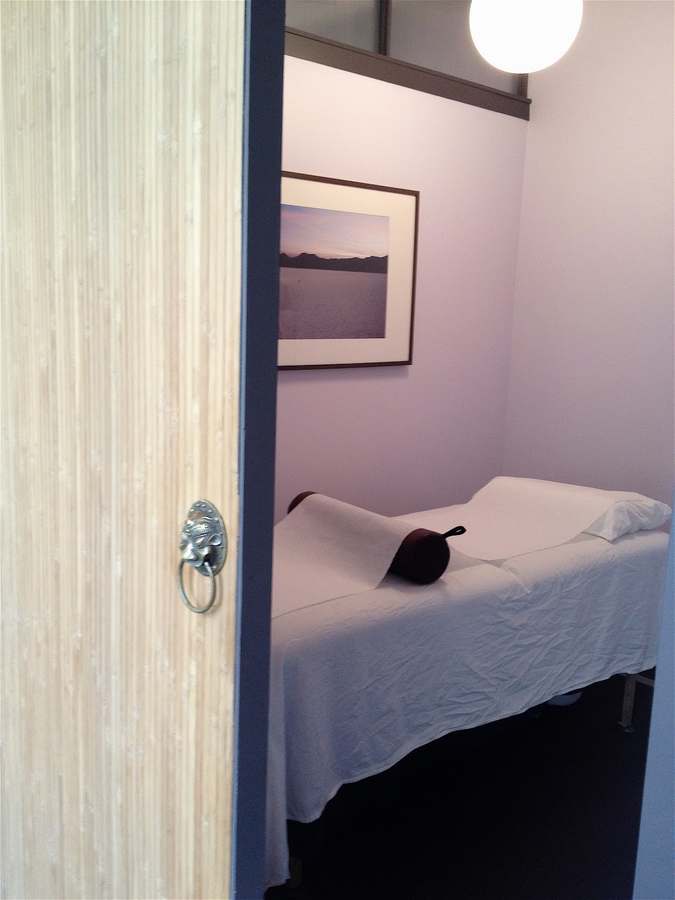 Ageless Acupuncture Maria Portnaya L.Ac., MAcOM — photo 1