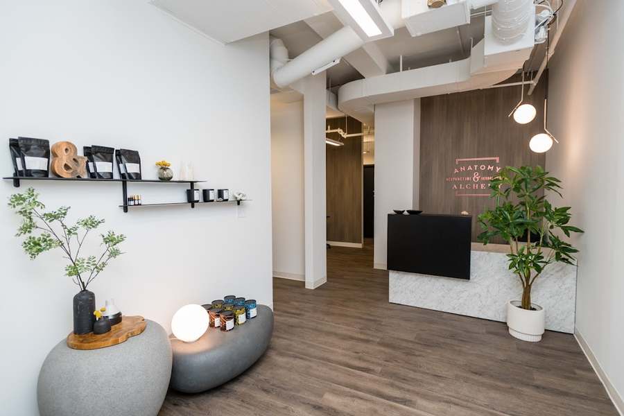 Anatomy & Alchemy Acupuncture & Herbal Medicine — Acupuncture in E Madison St Ste 1606, Chicago