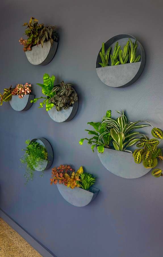 Andersonville Acupuncture Studio — Acupuncture in N Clark St, Chicago