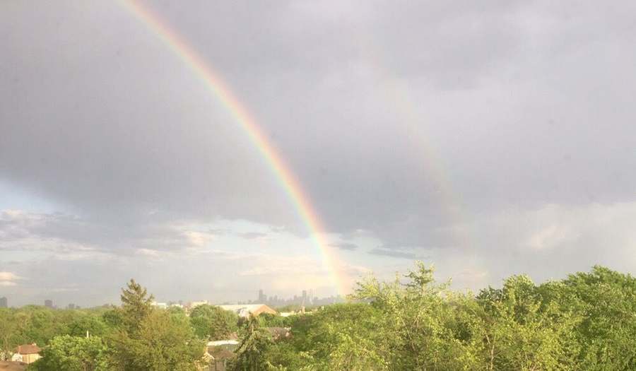 Chicago Psych Therapy Group, Inc. — Psychotherapy in Orrington Ave, Chicago