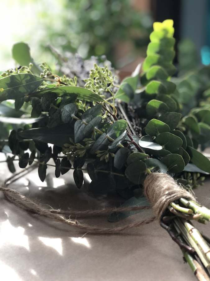Hierbitas by Sandra — photo 1