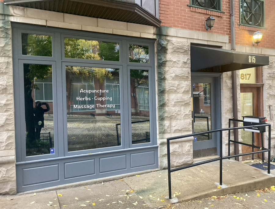 Jennifer Dubowsky Chicago Acupuncturist — Acupuncture in Storefront, Chicago