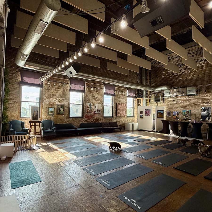 Puppy Yoga Chicago - Fulton Market (Puppy Yoga USA) — photo 1