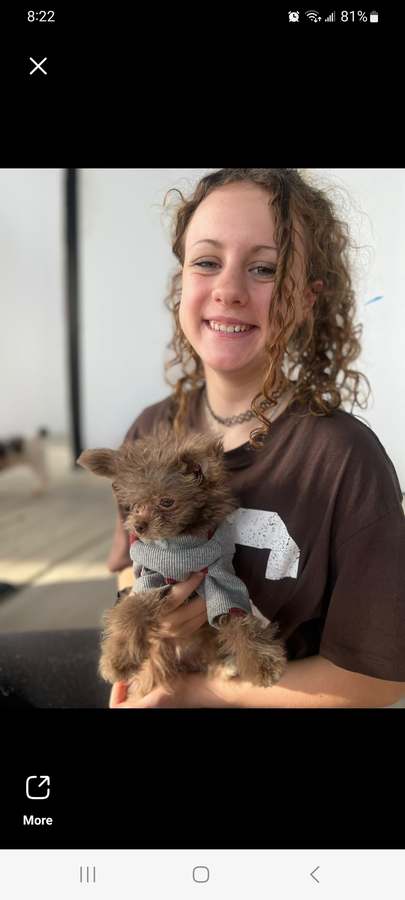 The Puppy Yoga Center — photo 1