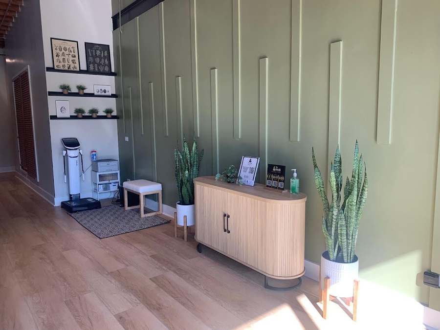 The Well Longevity Health — Reiki & Energy Medicine in S Western Ave, Chicago