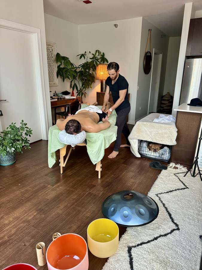 Wellness in Harmony Massage & Sound — Massage Therapy in S River Rd #19, Chicago