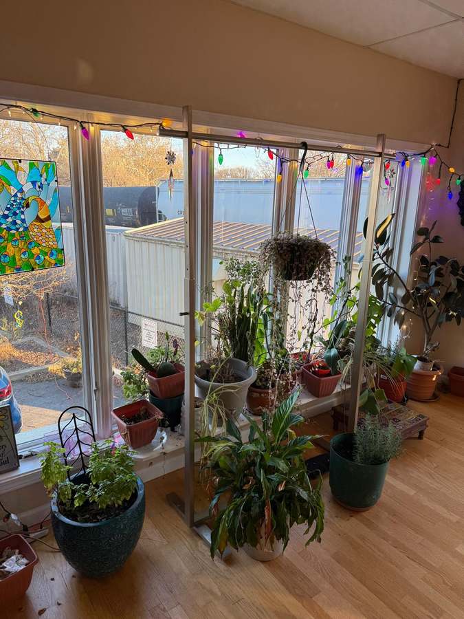 Yogveda LLC (Yoga and Ayurveda Wellness center) — Yoga, Tai Chi & Pilates in W Chestnut St Unit 1, Chicago