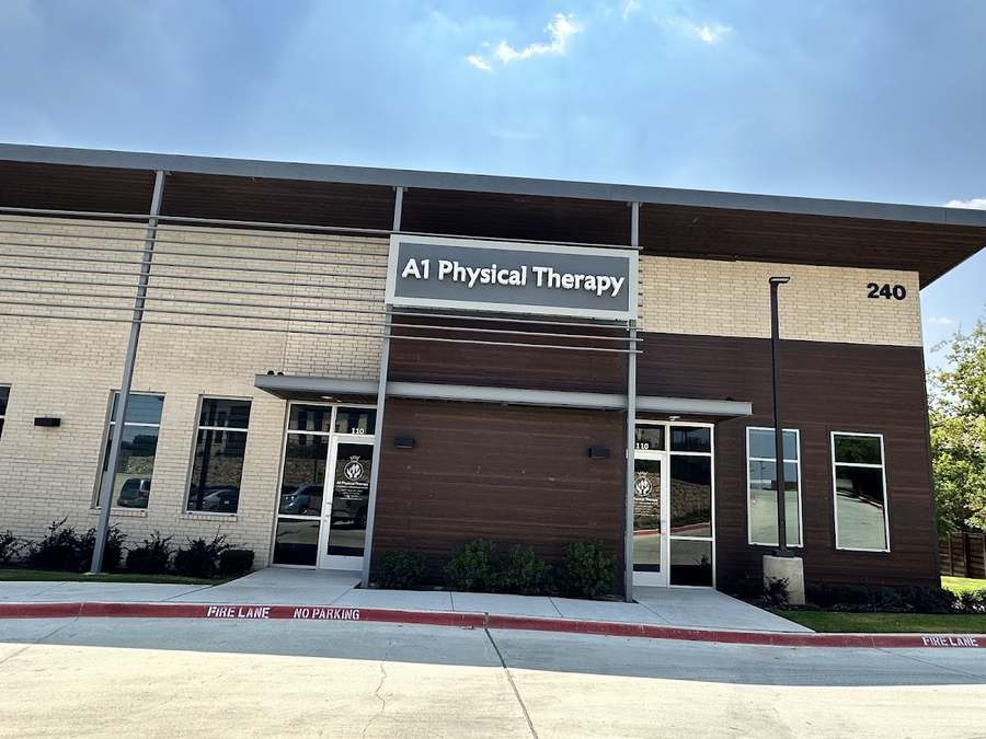A1 Physical Therapy Clinic of Irving at Las Colinas, Frisco & Bedford - Tinu Chacko, DPT, PhD — photo 1