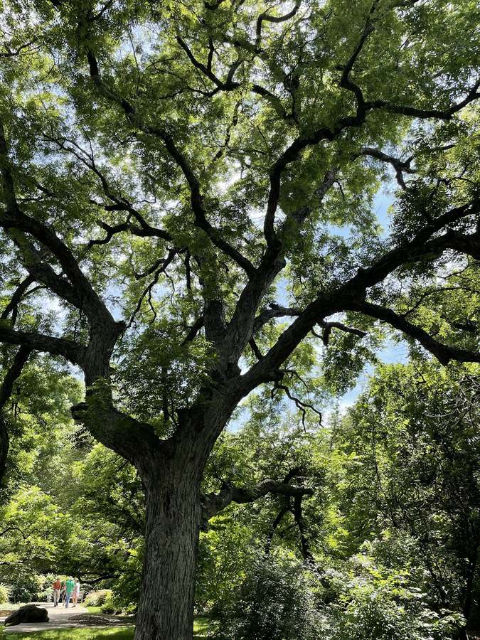 PATH Counseling and Wellness — Psychotherapy in Hillcrest Plaza Dr #224, Dallas