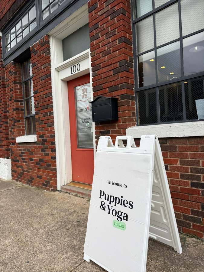 Puppy Yoga Dallas (Puppies Yoga) — photo 1