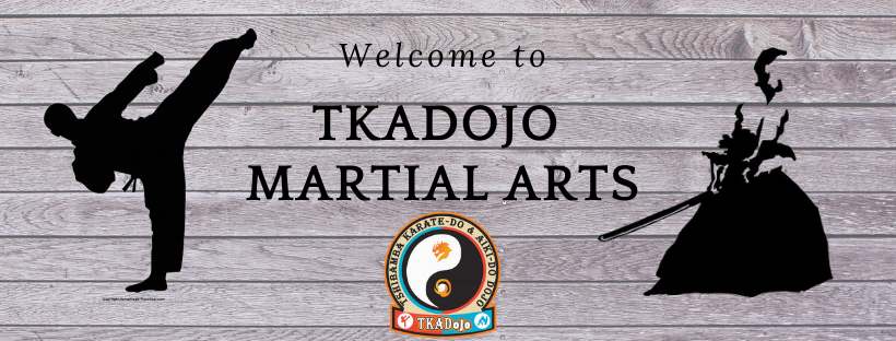 TKADojo Martial Arts - Karate & Aikido | Plano, TX — photo 1
