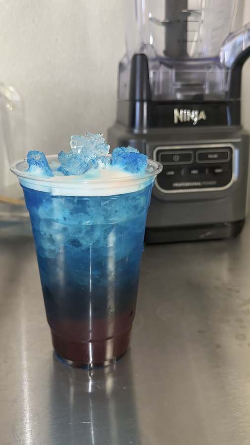 Wellness Center Shakes — Diet & Nutrition in Karla Dr, Dallas
