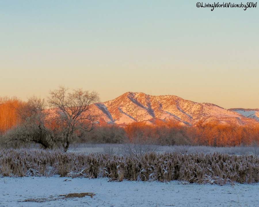 cosmic flame guidance and healing — photo 1