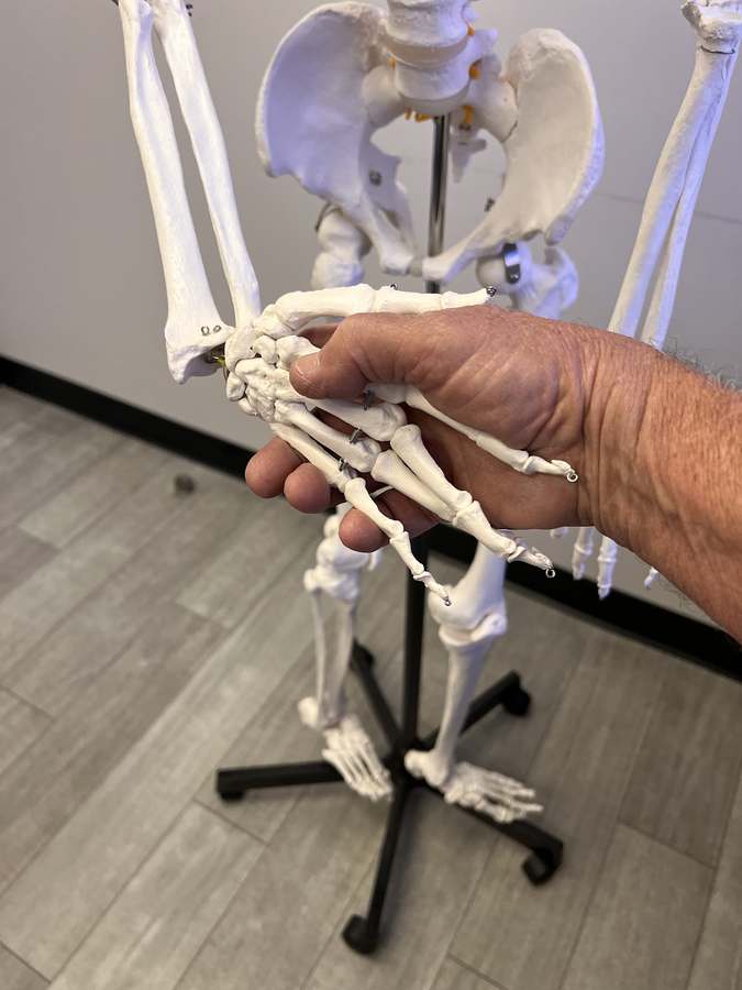 Ajay K. Masih, MD — Physical & Rehabilitation Therapy in Century Pk E #1501, Los Angeles