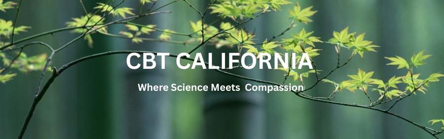 CBT California - CBT South Bay (Torrance) Cognitive Behavioral Therapy — Psychotherapy in S Western Ave Ste 2648, Los Angeles