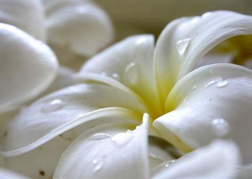 CHRISTINA BAUER Massage Therapist, Anxiety & Depression Support, Intuitive, Ayurvedic Counsel — Psychotherapy in Vía De La Paz, Los Angeles