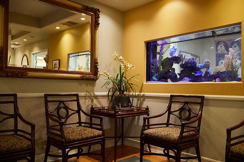 Holistic Dental Wellness Center - Iman Abdeshahian, DMD — photo 1