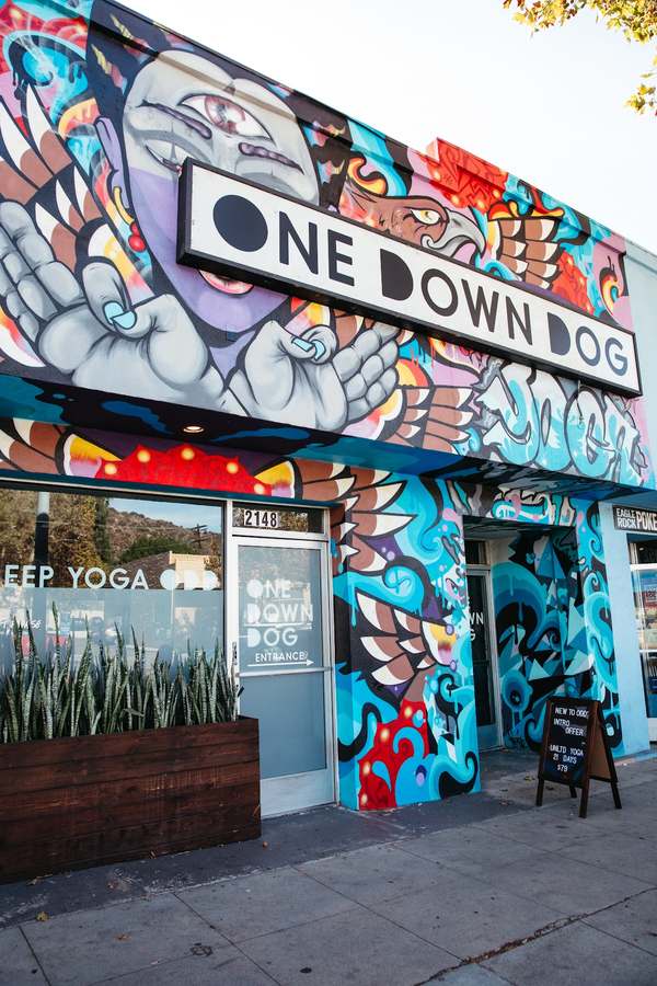 One Down Dog | Yoga + Fitness Studio — photo 1