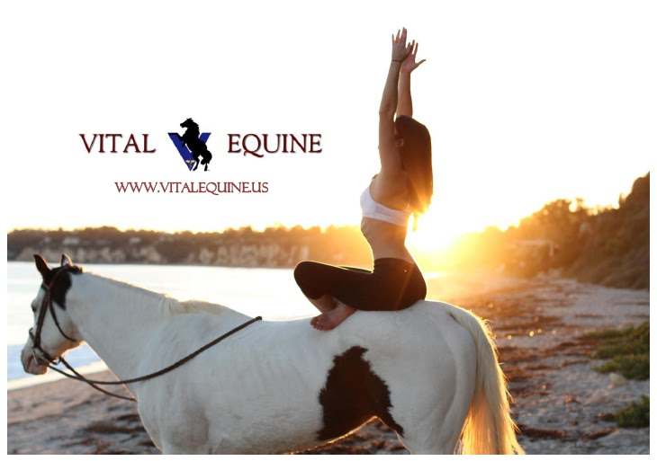 Vital Equine Holistic Veterinary Medicine — Naturopathic Medicine in Park Granada Box 9281, Los Angeles