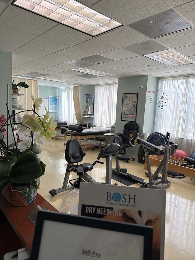 BOSH Physical Therapy, Inc. — photo 1