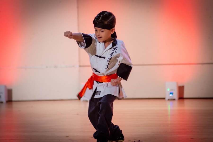 Divine Fist Kung Fu — photo 1