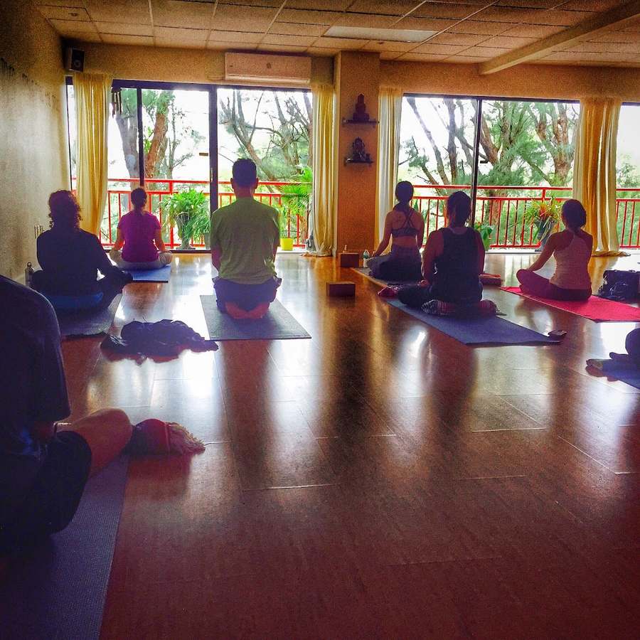 Lighthouse Yoga & Wellness — photo 1