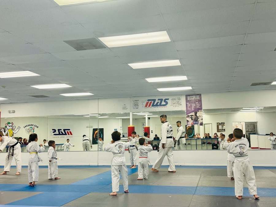 Martial Arts System (Kendall Hammocks) — photo 1