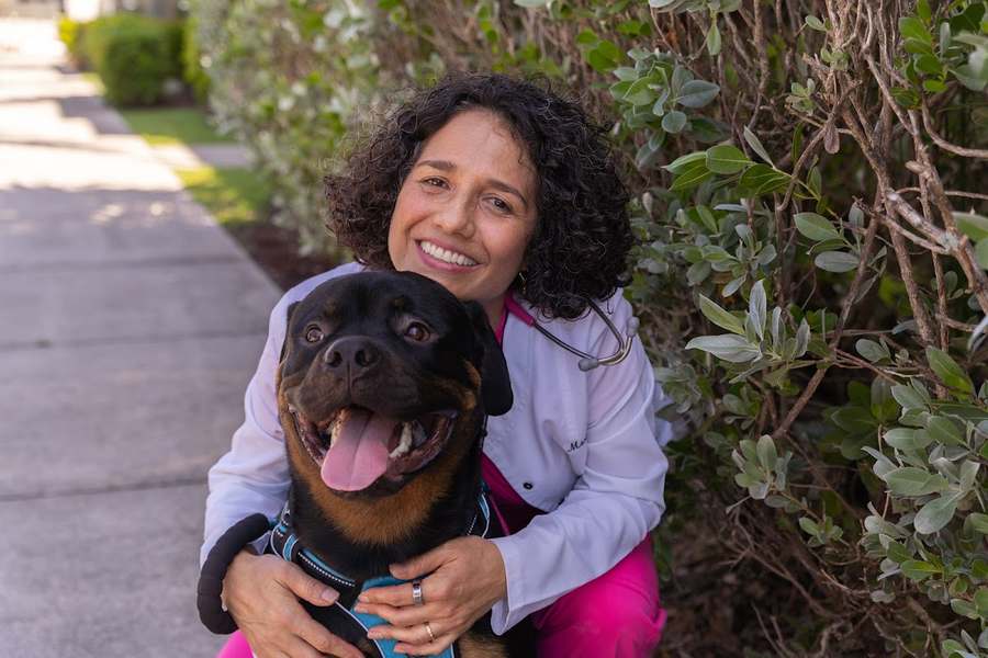 Martin Integrative Animal Clinic — Naturopathic Medicine in NW 112th Ave Ste 116, Miami