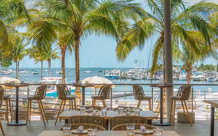 Miami HealthCoach — Diet & Nutrition in S Bayshore Dr, Miami