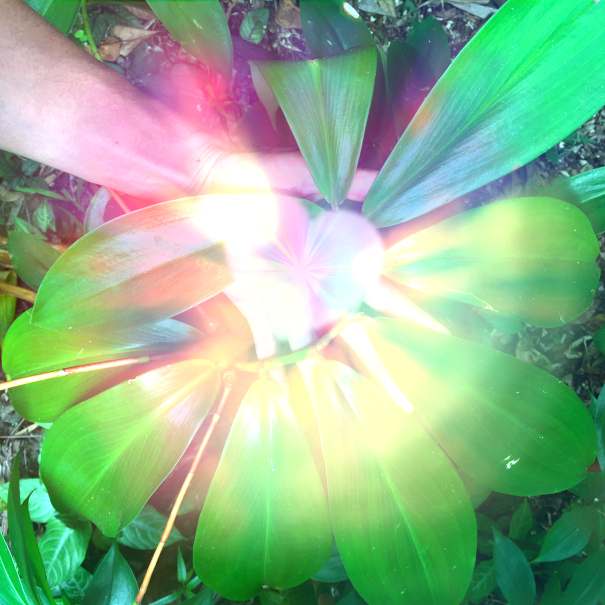 Awakening Vibration - Reiki Healing — photo 1