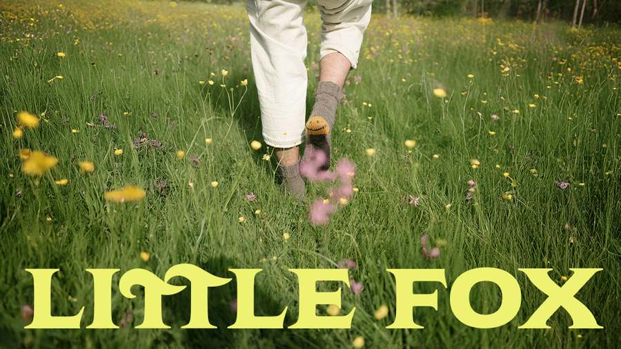 Little Fox — Reiki & Energy Medicine in Lafayette St #304, New York